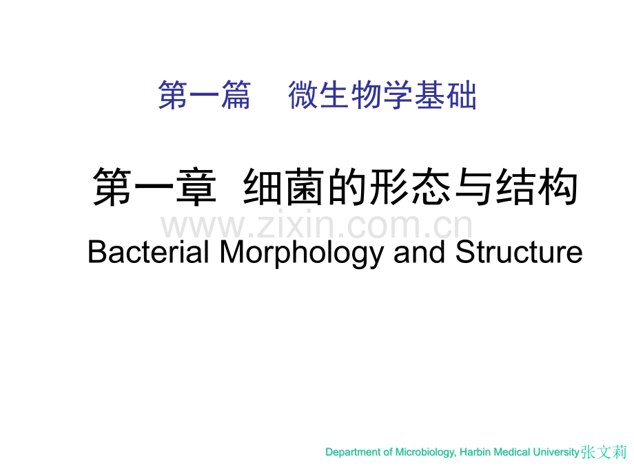 微生物学第一章细菌的形态与结构.pptx_第1页