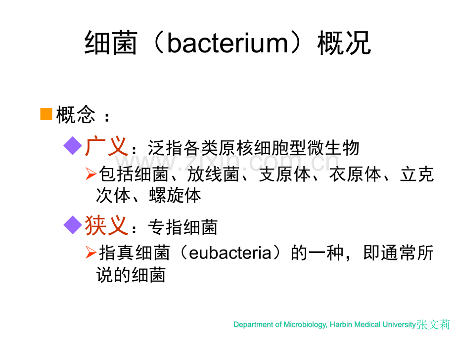 微生物学第一章细菌的形态与结构.pptx_第2页