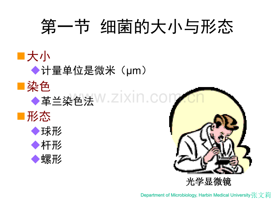 微生物学第一章细菌的形态与结构.pptx_第3页