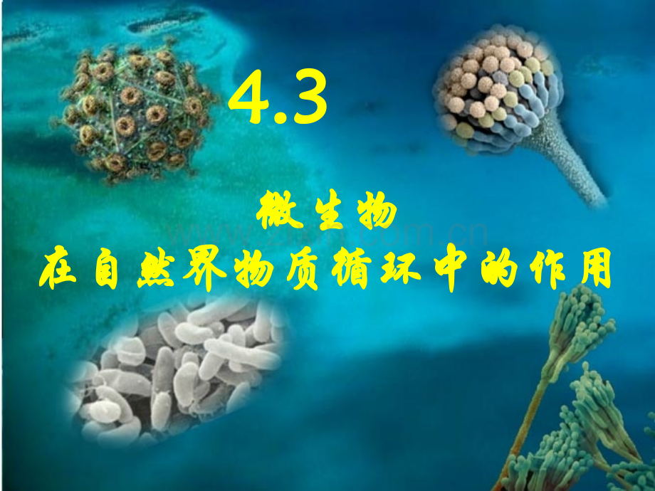 微生物在自然界物质循环中的作用2案例.pptx_第1页