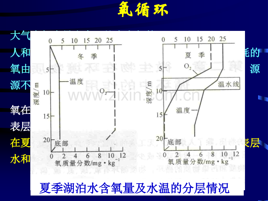 微生物在自然界物质循环中的作用2案例.pptx_第3页