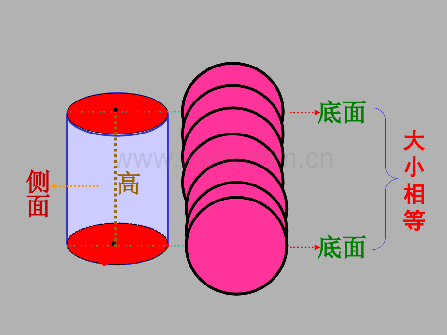 六年级数学圆柱体的认识2.pptx_第3页