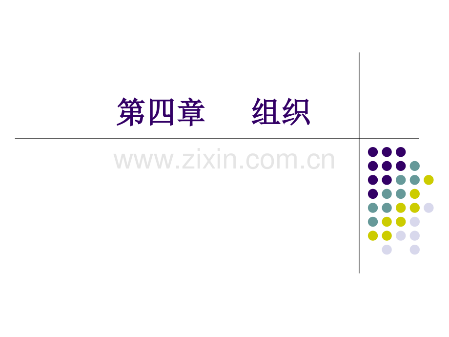 护理管理学组织职能与护理管理应用.pptx_第1页