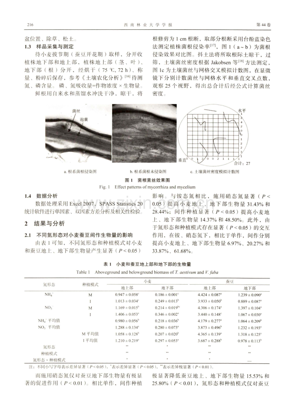 硝及铵态氮对小麦蚕豆间作系统菌根侵染和氮磷吸收的影响.pdf_第3页