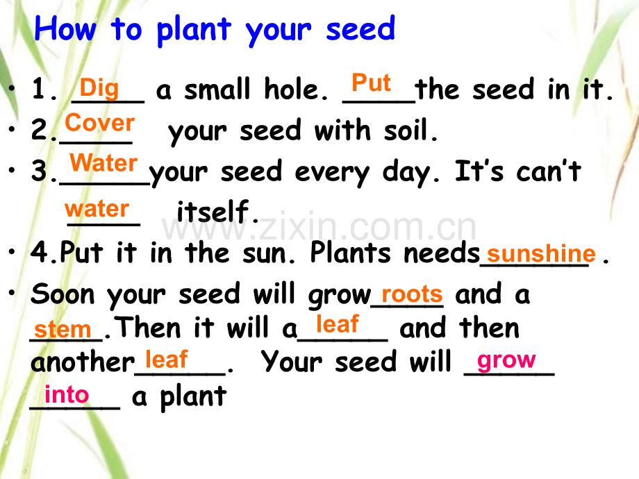 冀教八年级英语下册Lesson-Make-your-garden-grow.pptx_第2页