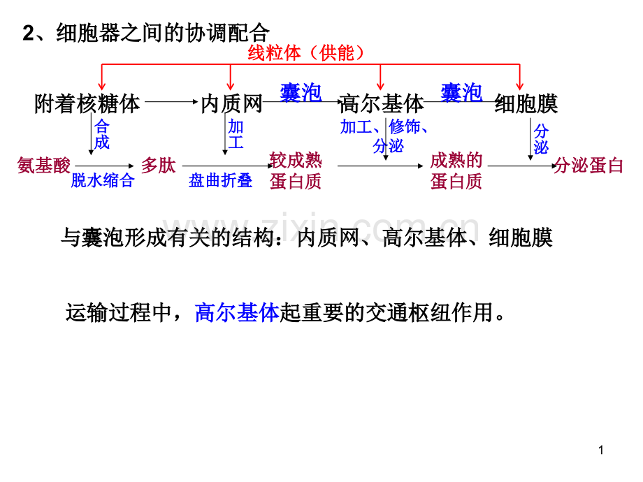 生物总复习必修一.pptx_第1页