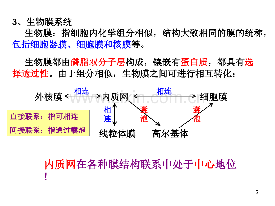 生物总复习必修一.pptx_第2页