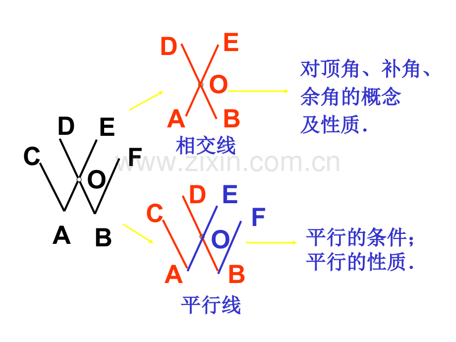 六年级数学平行线与相交线.pptx_第2页