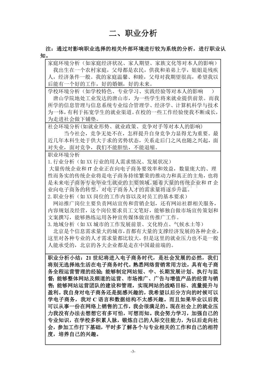 大学生职业生涯规划..doc_第3页