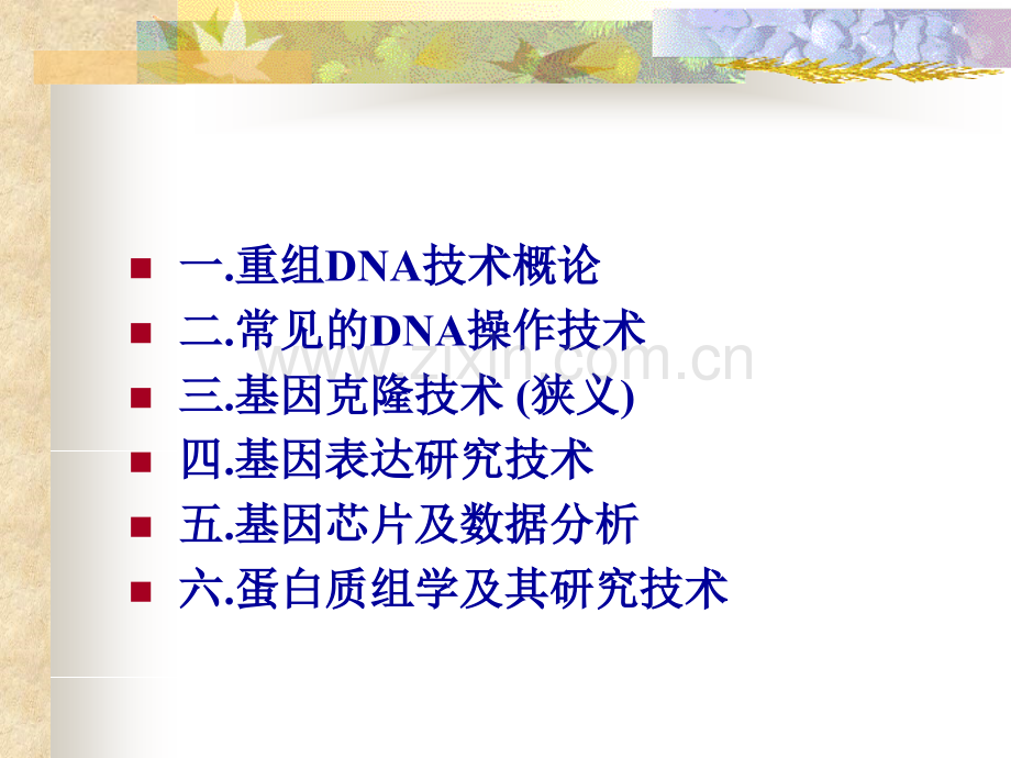 分子生物学研究法.pptx_第2页