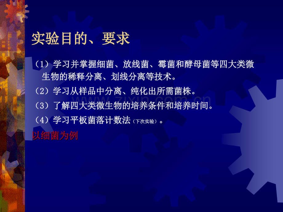 微生物的分离培养和接种技术.pptx_第2页