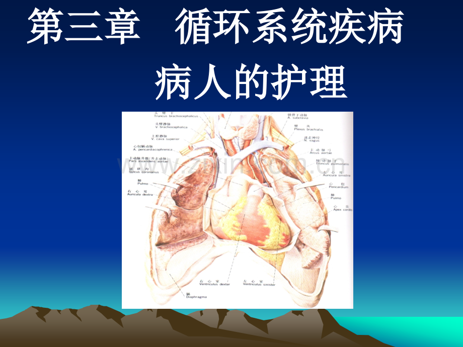 循环系统疾病病人的护理.pptx_第1页