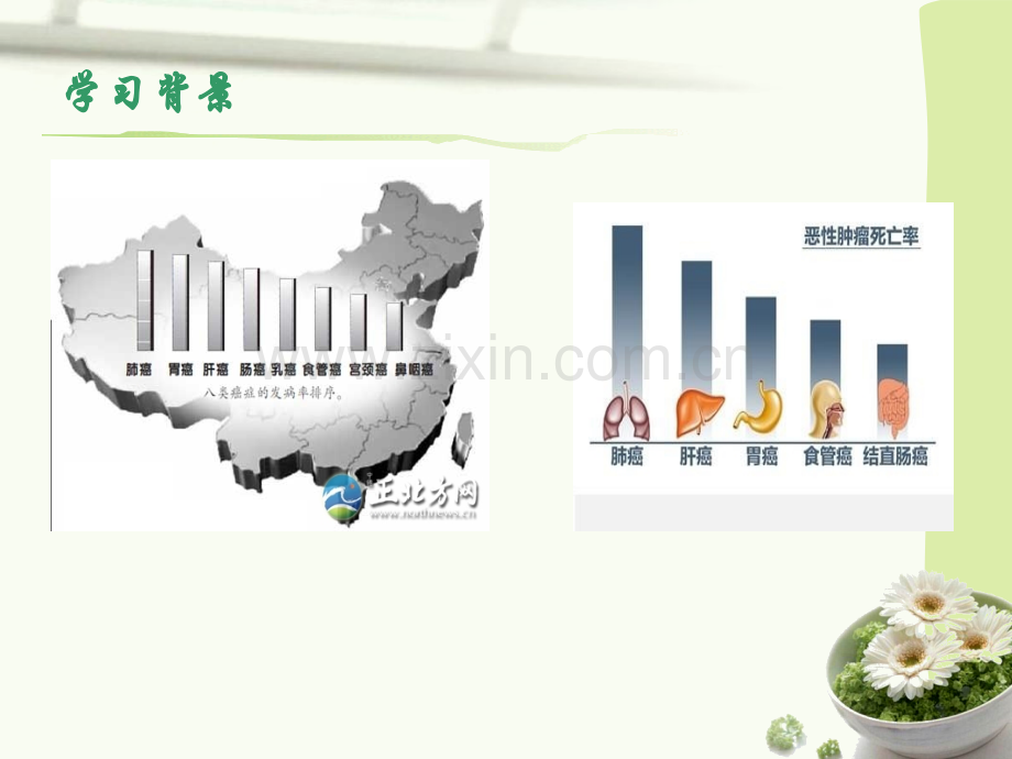 原发性肝癌的护理.pptx_第3页