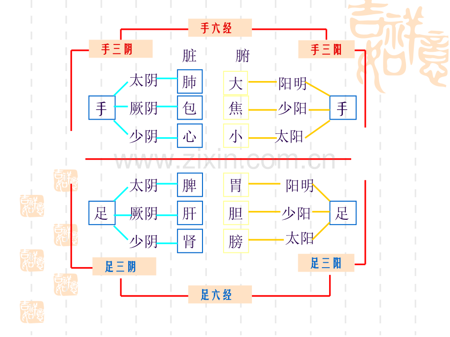 十二经脉养生法1资料.pptx_第3页