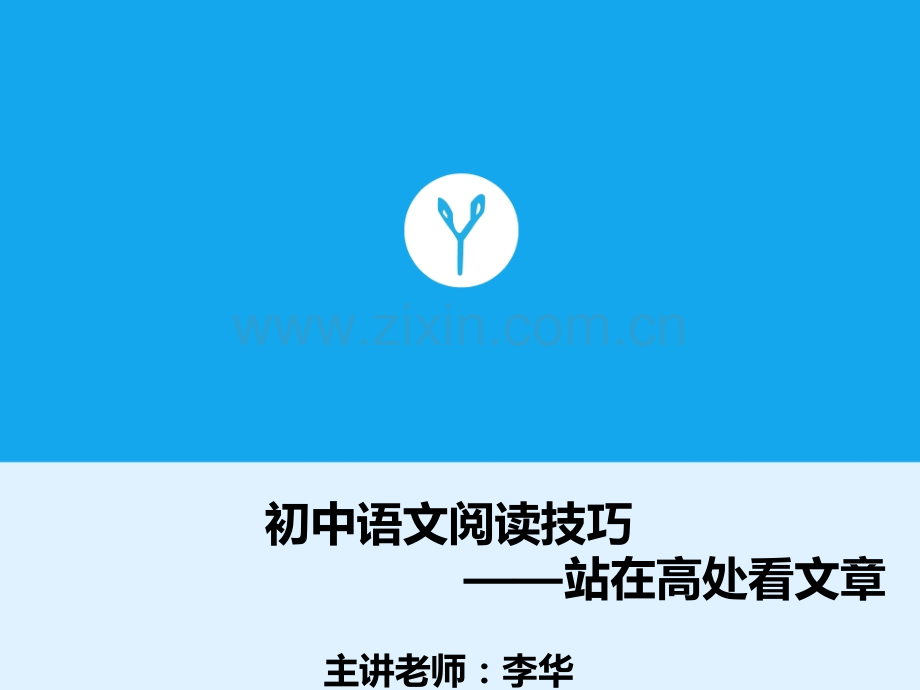 初中语文阅读技巧李华分析.pptx_第1页