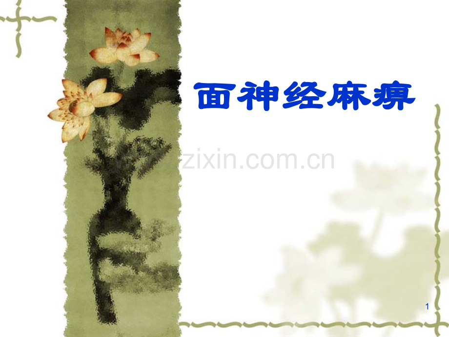 周围性面神经麻痹.pptx_第1页