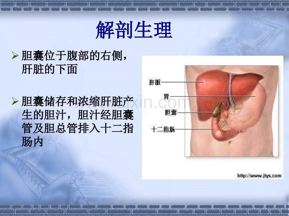 护理查房胆囊结石.pptx_第3页