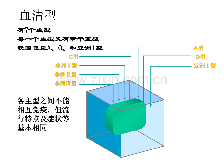 十一口蹄疫.pptx_第3页