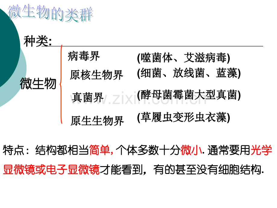 微生物发酵及其应用.pptx_第2页