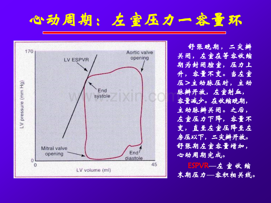 慢性肾衰患者心脏结构与功能的评价.pptx_第3页