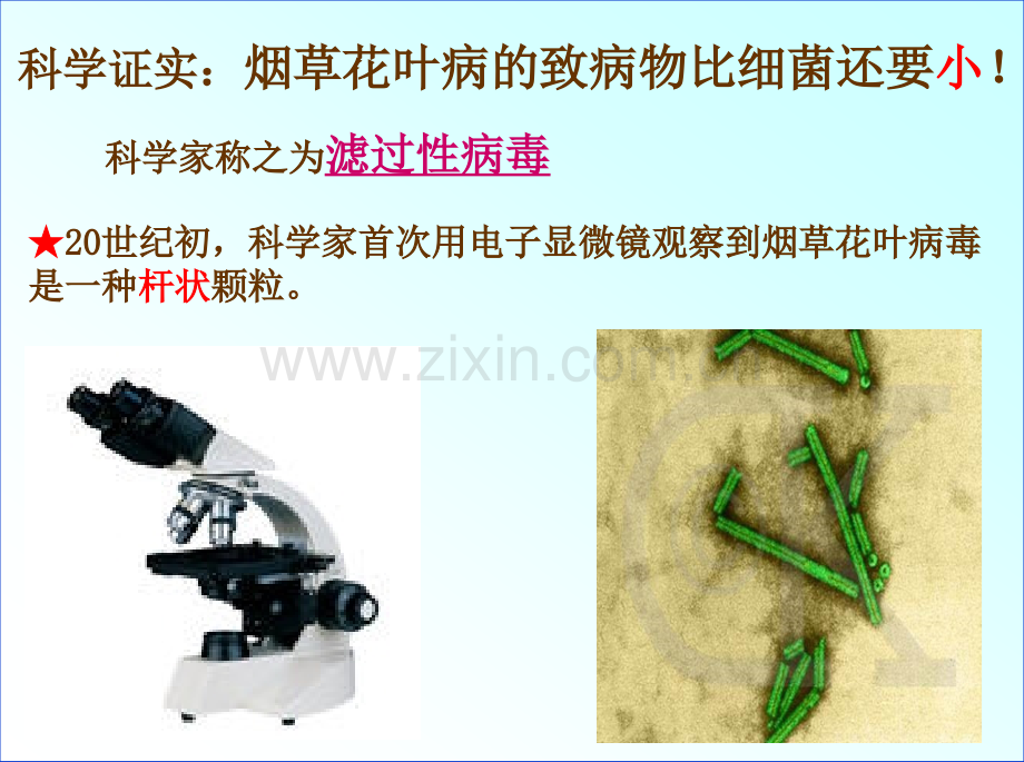 八年级生物新人教版八年级生物上册病毒.pptx_第3页