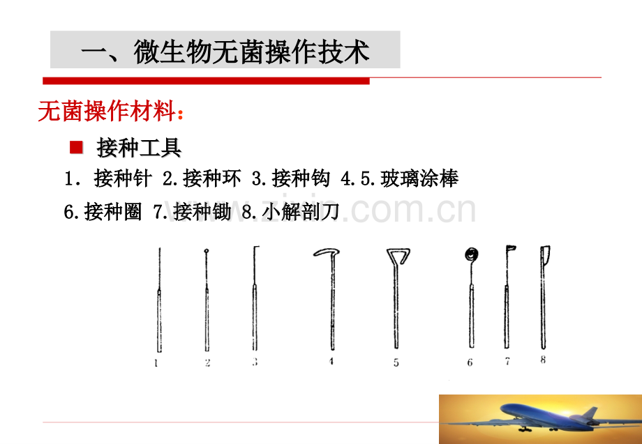 微生物的无菌操作及接种技术.pptx_第3页