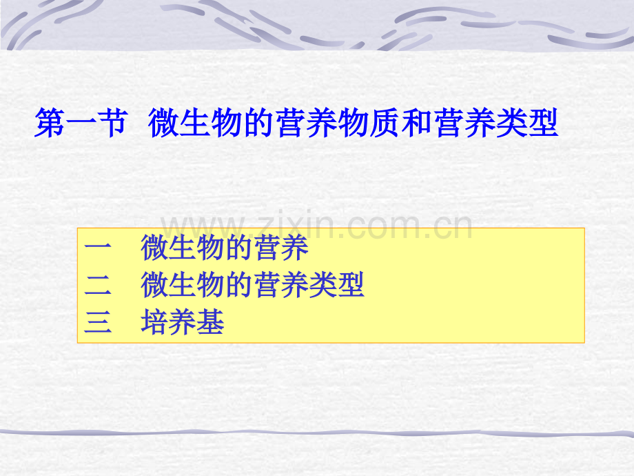 微生物的营养代谢.pptx_第3页