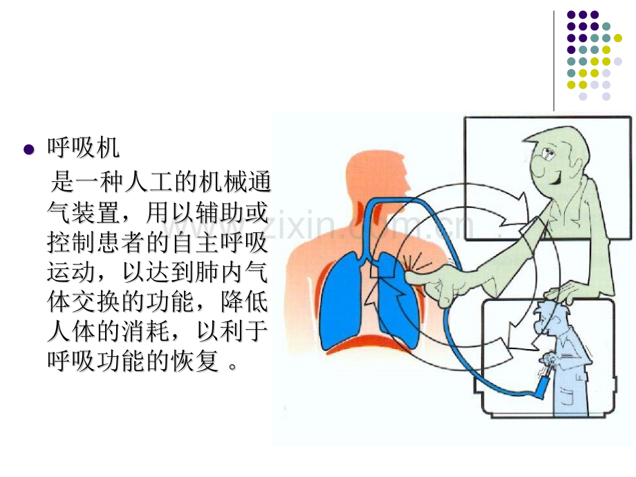 呼吸机的使用及管理.pptx_第2页