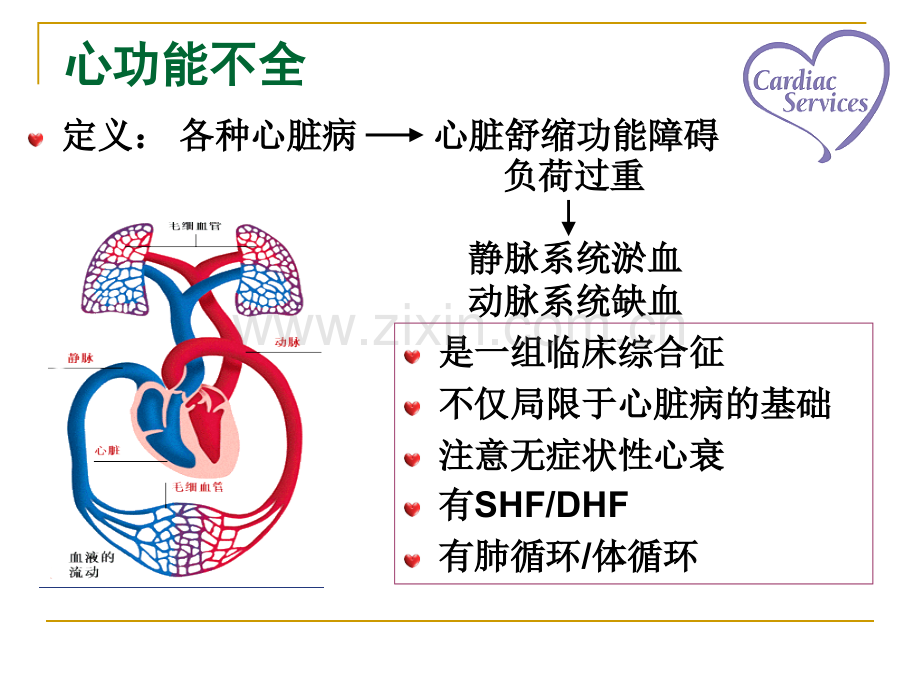 内科护理学循环系统心衰.pptx_第2页