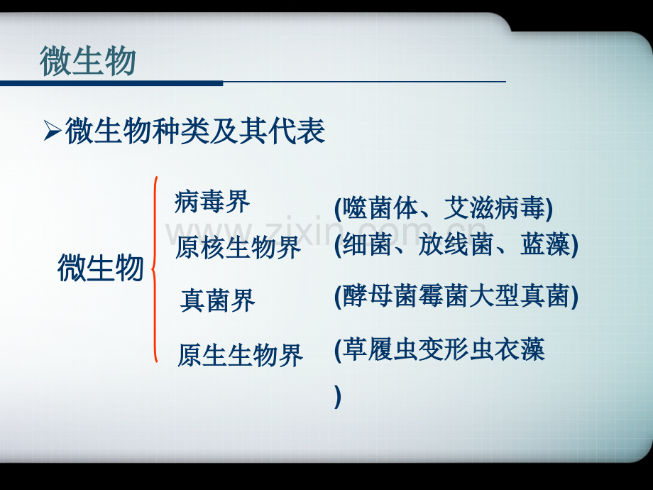 微生物发酵成产氨基酸.pptx_第3页