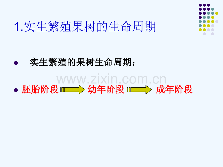 果树的生长发育规律下.pptx_第3页