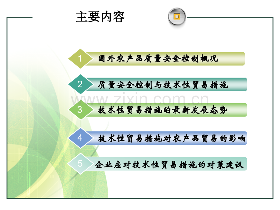 国外农产品质量安全控制.pptx_第2页
