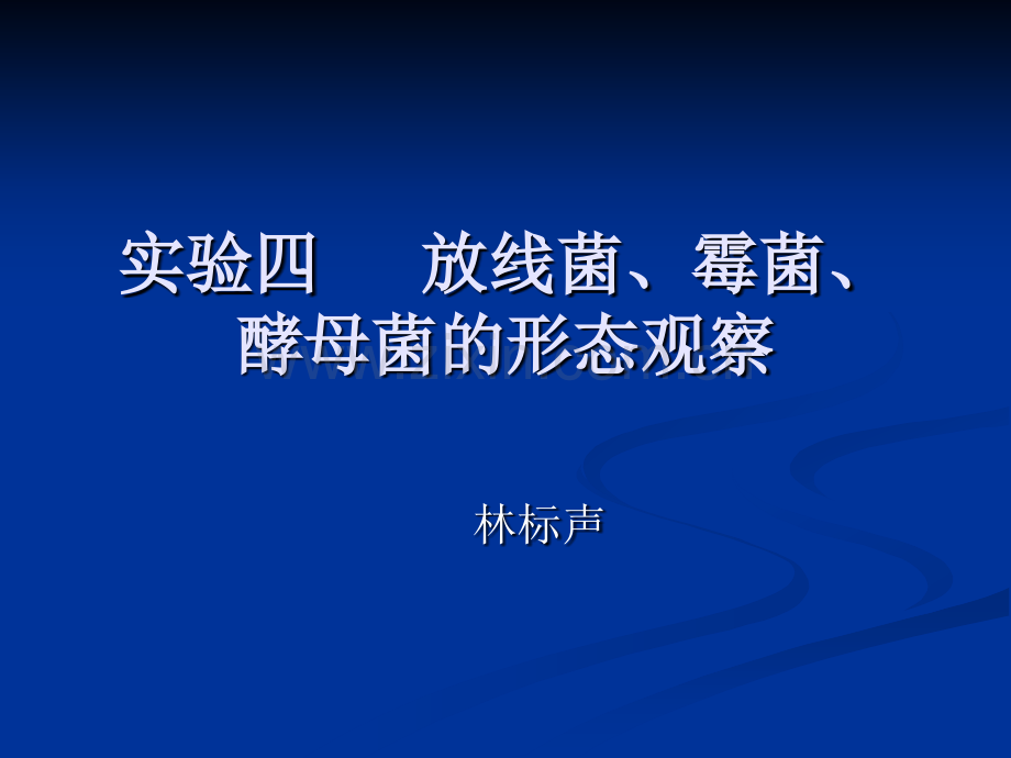 微生物实验四放线菌霉菌酵母菌的形态观察.pptx_第1页