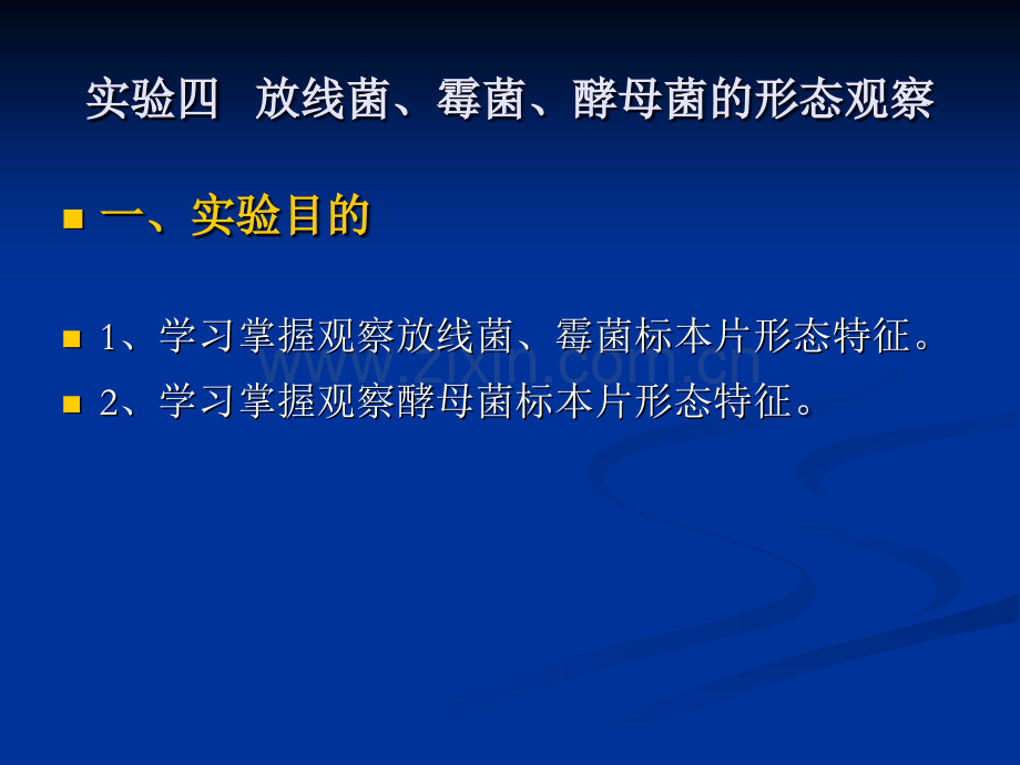 微生物实验四放线菌霉菌酵母菌的形态观察.pptx_第2页