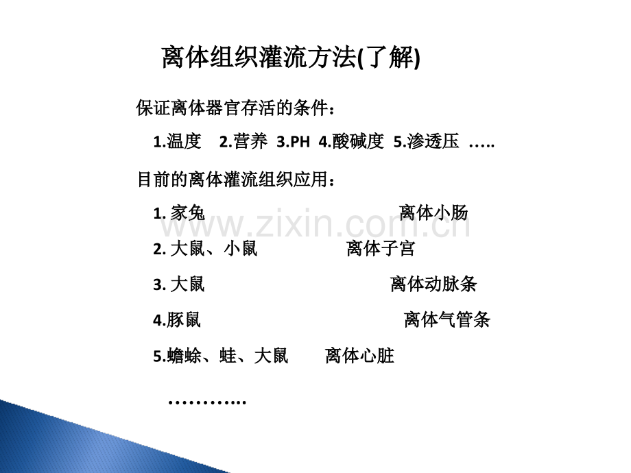 家兔小肠平滑肌实验小肠运动形式的观察.pptx_第2页