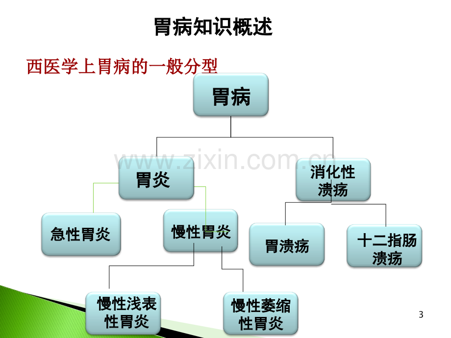 常见胃肠疾病及相关联合用药.pptx_第3页