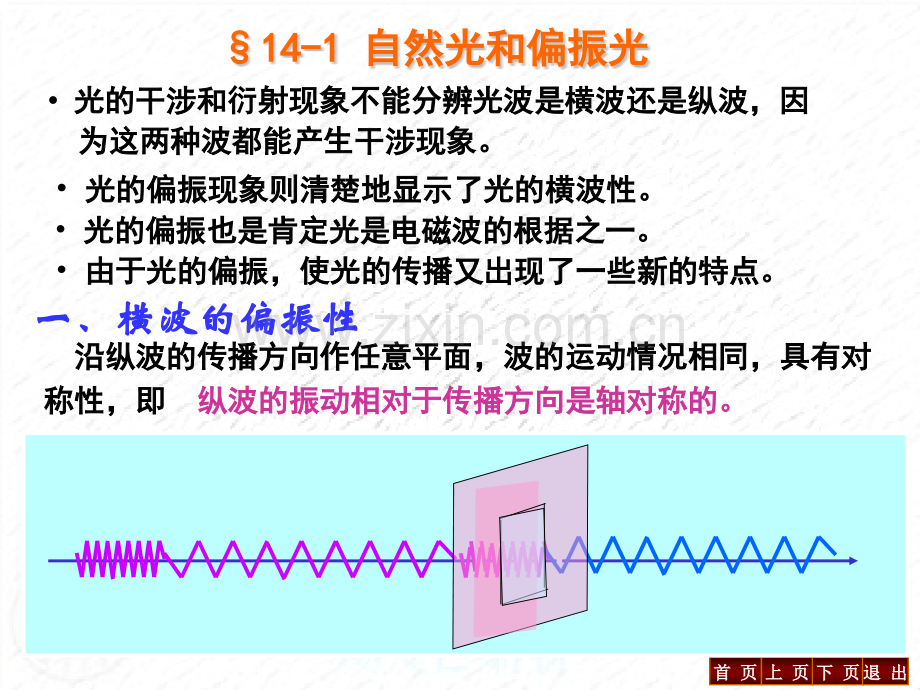 大学物理-光的偏振.pptx_第2页