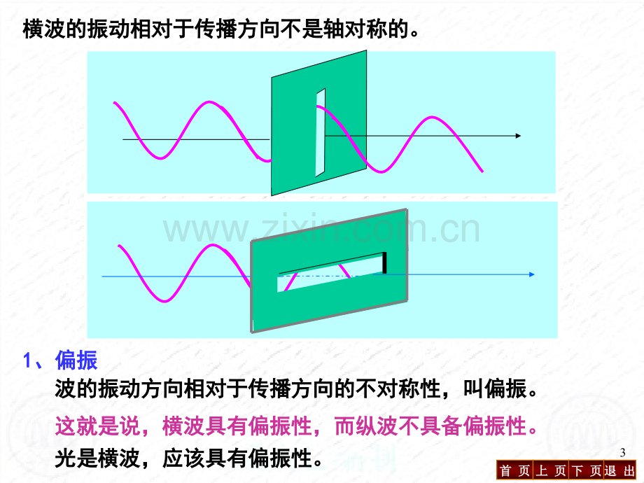 大学物理-光的偏振.pptx_第3页