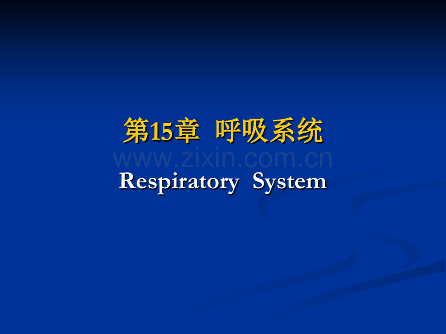 呼吸系统ppt课件.pptx_第1页