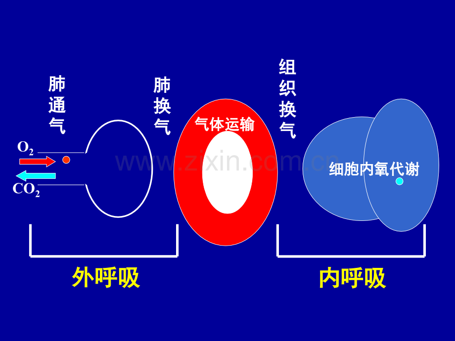 急性呼吸衰竭新.pptx_第3页