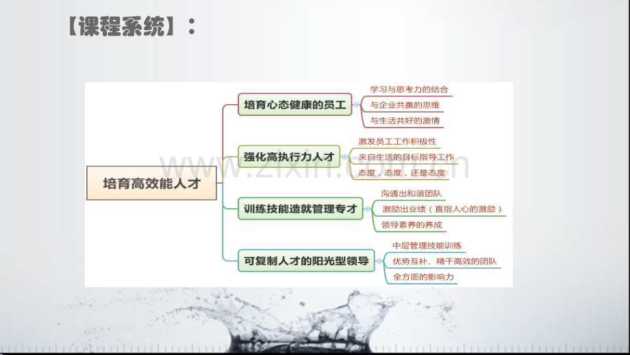 团队建设与执行力培训课.pptx_第3页