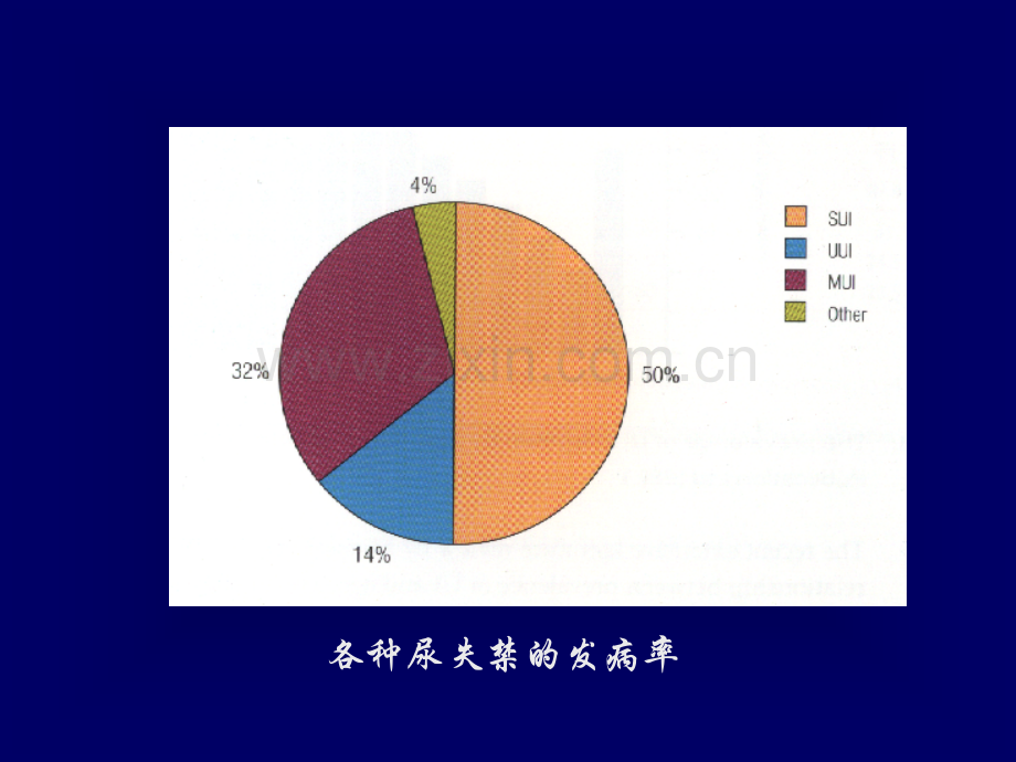 压力性尿失禁的非手术治疗.pptx_第3页