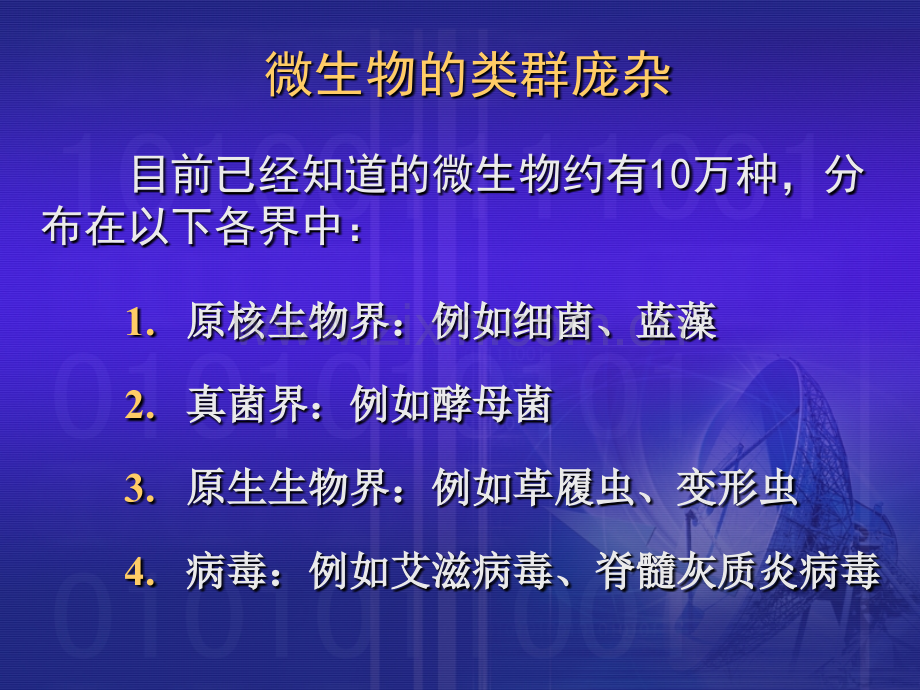 微生物的类群与微生物的代谢.pptx_第2页