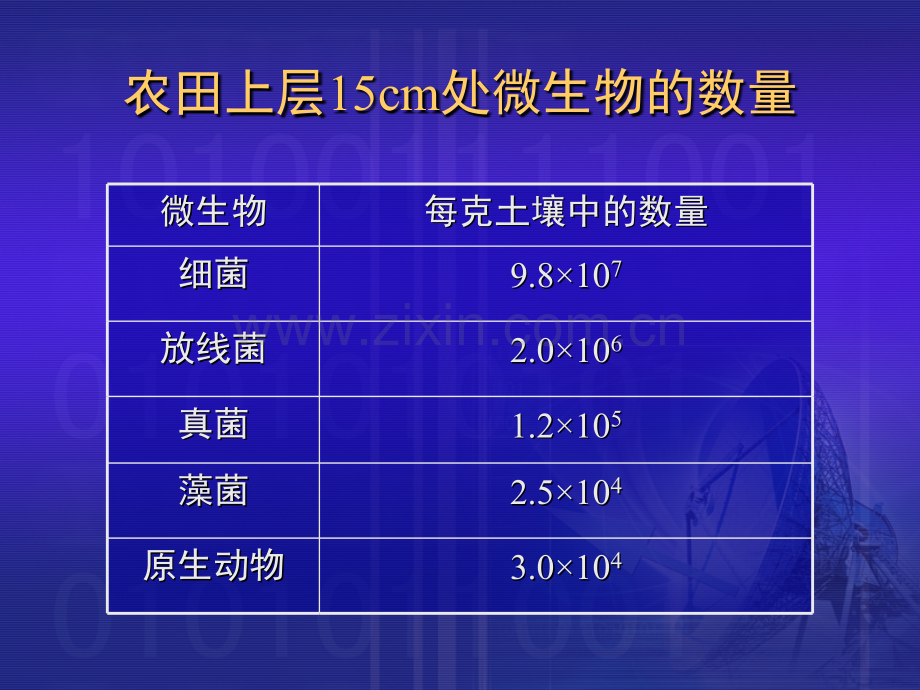 微生物的类群与微生物的代谢.pptx_第3页