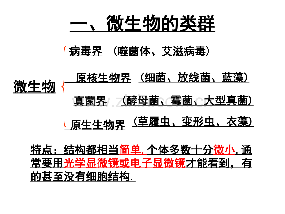 微生物的培养与利用.pptx_第2页