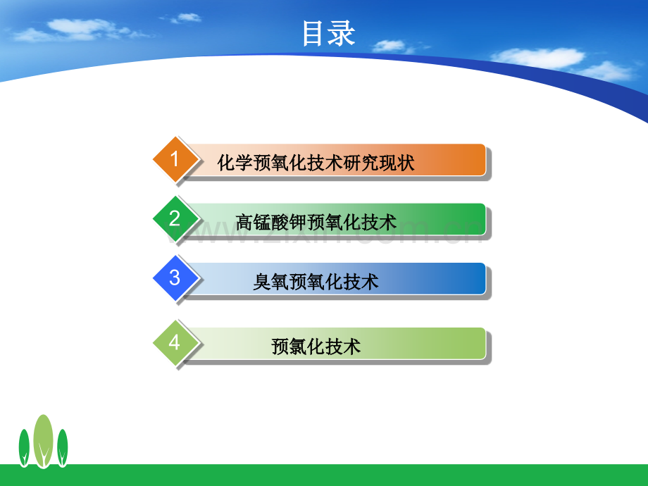 化学预氧化.pptx_第2页