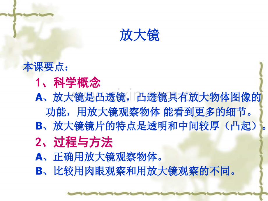 六年级科学下册放大镜教科版资料.pptx_第2页