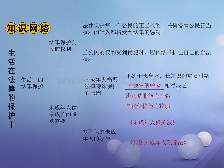 湖南省中考政治教材知识梳理八上生活在法律保护中.pptx_第3页