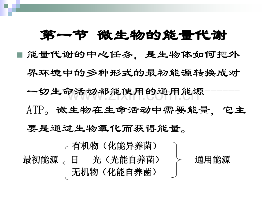 微生物的代谢.pptx_第3页