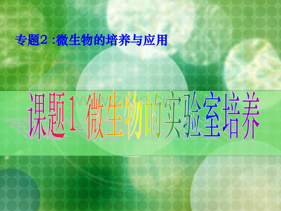 微生物的实验室培养ppt.pptx_第1页